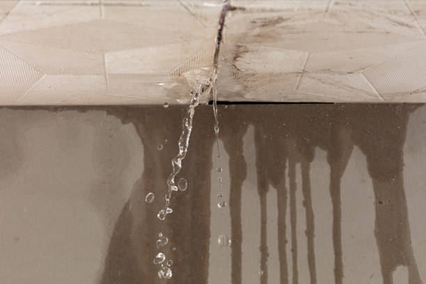 Professional Burst Pipe Cleanup technician working in Pleasant View, TN